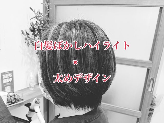 白髪ぼかしハイライト×太めデザイン